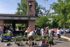 Plant-Sale-1-1
