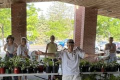 Plants-Sale-3-1
